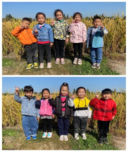QQ图片20201104212737