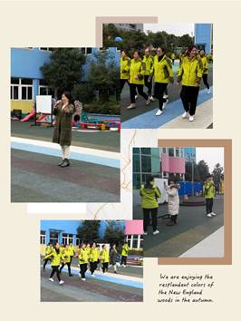 IMG_PITU_20181215_101814